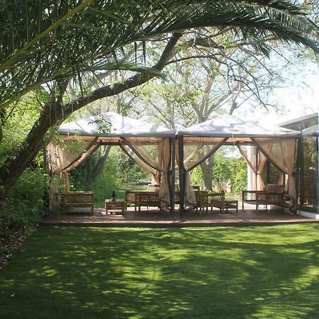 Canavial Garden (Adults Only) Lagos Exteriér fotografie