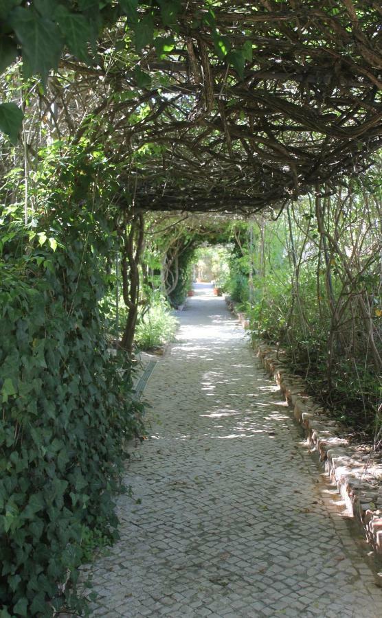 Canavial Garden (Adults Only) Lagos Exteriér fotografie