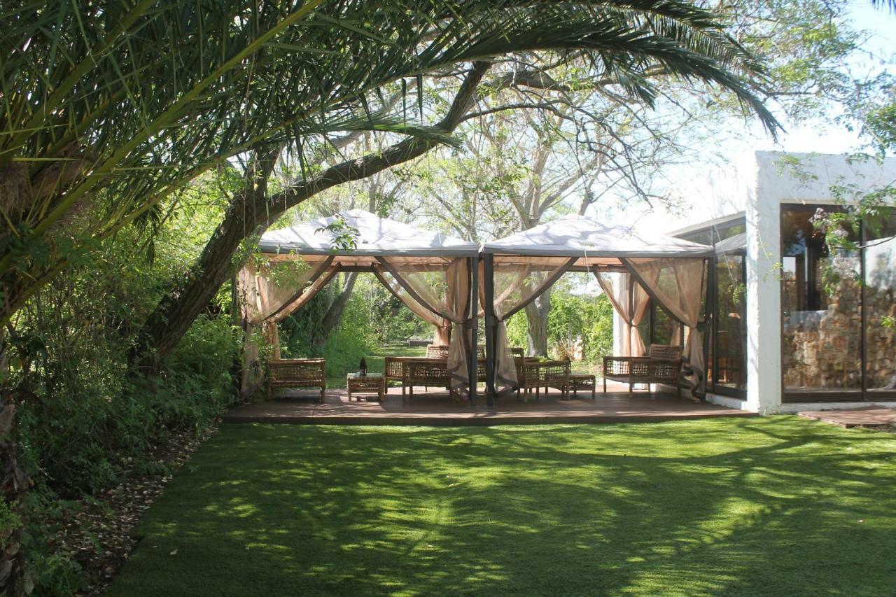 Canavial Garden (Adults Only) Lagos Exteriér fotografie
